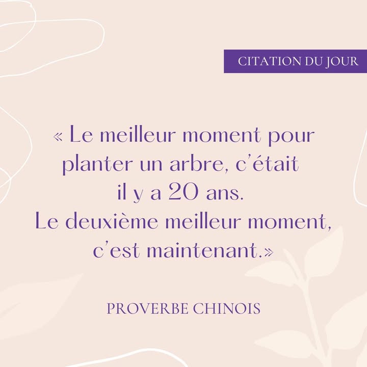 🐯🌱 « Le meilleur moment...