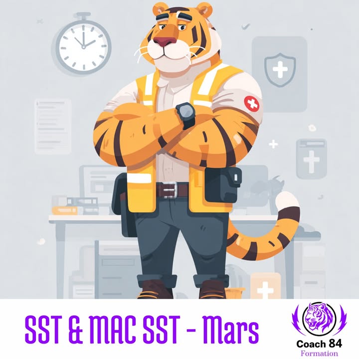 🐯🚨 Sécurité au travail...