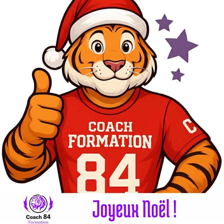 🐯✨🎄 Toute l’équipe...