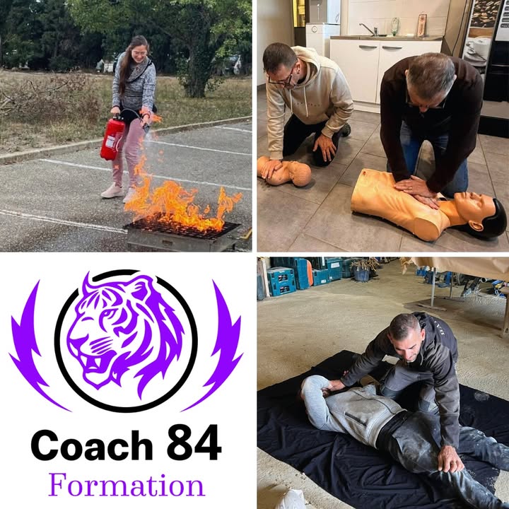 🐯🔥 Ce jour-là, personne ne savait comment ça allait se passer…